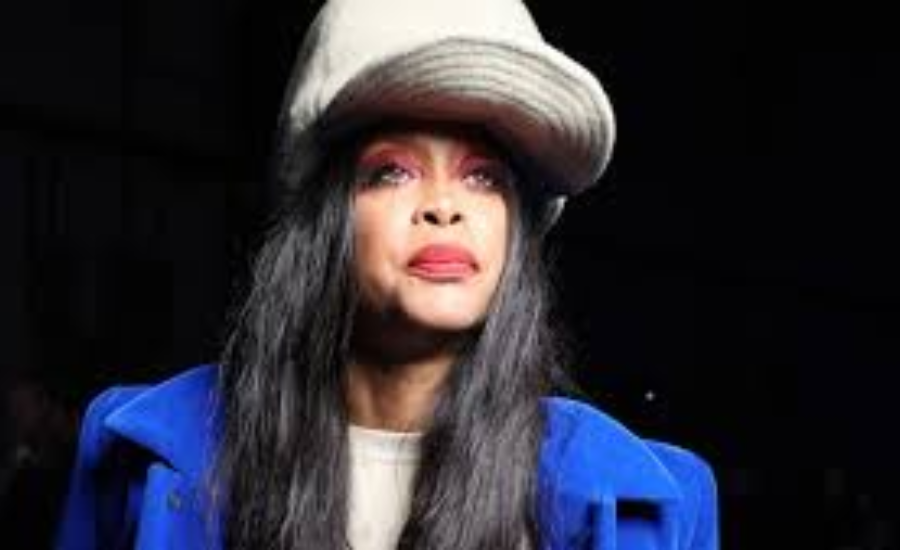 erykah badu net worth